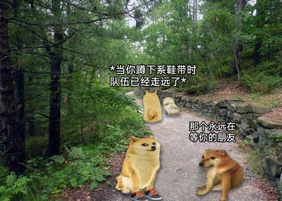 这是一张基于Doge柴犬梗图创作的搞笑温情类P图，背景是一条被绿植环绕的林间小路。画面分为前后两个部分：前方的小路上有两只柴犬梗图背对着镜头向前走，对应配文“*当你蹲下系鞋带时队伍已经走远了*”，模拟集体出行时有人因小事落后，队伍却继续前行的常见场景；画面下方，一只穿着运动鞋、表情无奈的Doge柴犬坐在路边，代表被落下的自己，它身旁还有一只平静坐着的柴犬，对应配文“那个永远在等你的朋友”，生动展现了在被集体落下时，有挚友愿意停下脚步陪伴等待的温暖瞬间，用网络梗图的轻松形式，凸显了真挚友情的珍贵。