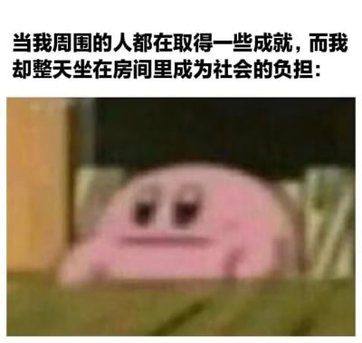 这是一张经典的中文梗图，上方文字写着“当我周围的人都在取得一些成就，而我却整天坐在房间里成为社会的负担：”，下面是一张模糊、面无表情的卡比坐着的图片。这表达了一种在他人取得进步时，自己却无所事事或感到低落、自我否定的情绪。卡比的形象常作为“废柴”“宅文化”的代言，整体氛围搞笑又丧，经常被用来自嘲。

谐音/暗示：无直接谐音但“社会的负担”是网络热梗，用于自我调侃、自嘲低落。