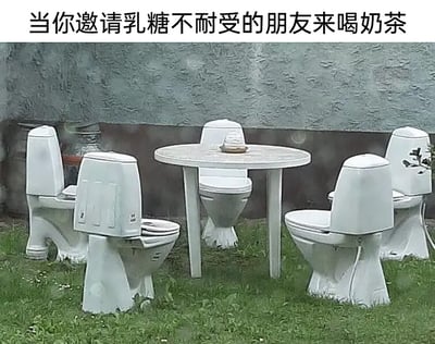这是一张带有调侃性质的趣味梗图，图上方配有文字“当你邀请乳糖不耐受的朋友来喝奶茶”，画面主体是户外草地上的荒诞场景：一张圆形白色小桌被放置在草地中央，周围环绕着五个被改造为座椅的白色马桶，马桶直接安置在草地上，没有额外的支撑底座，整体场景滑稽又充满创意。这张图通过将聚会座椅替换为马桶的夸张方式，调侃乳糖不耐受人群饮用含奶制品的奶茶后，会频繁需要如厕的尴尬状况，用荒诞的画面放大了这个生活中的小痛点，制造出搞笑的效果。