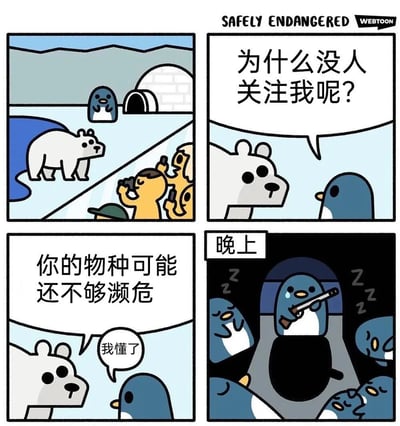 这是一则四格讽刺卡通漫画，第一格呈现北极场景里，北极熊被拟人化的游客拍照关注，一旁冰屋门口的企鹅却无人问津；第二格中，企鹅向北极熊疑惑发问“为什么没人关注我呢？”；第三格北极熊给出回答“你的物种可能还不够濒危”，企鹅随即表示“我懂了”；第四格到了晚上，企鹅含泪拿着枪，在冰屋里看着熟睡的同伴，打算通过减少自身种群数量让物种变得濒危，以此获得外界关注。漫画用荒诞的黑色幽默，讽刺了“物种越濒危越易获得关注”的现象，通过极端行为制造出强烈的反差笑点。