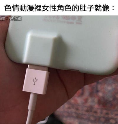 这是一张文字加注的原始拍摄单图，画面展示了一只手握着浅绿色的手机，充电线的接头插入手机充电口，手机充电口附近的凸起结构加上插入的充电线，被用来低俗类比色情动漫里女性角色的肚子。图上方的繁体文字“色情動漫裡女性角色的肚子就像：”点明了这个低俗类比的核心，下方还有“譯：好色龍”的翻译标注，通过日常物品的视觉形象玩不雅的暗示梗，属于网友的恶搞创作。