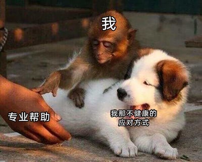 这是一张经过文字加注的动物互动梗图，画面中一只被标注为“我”的猴子，一边伸手试图触碰代表“专业帮助”的人手，一边用手按住被标注为“我那不健康的应对方式”的小狗。猴子的表情纠结无奈，小狗则张嘴露舌、神态放松。这张图通过拟人化的手法，生动且幽默地描绘了人们在遇到问题时的矛盾心态：明明知道有专业、正确的解决途径可以求助，却总是忍不住依赖自己那些明知不健康的应对方式，比如情绪低落时，明明可以寻求心理咨询，却还是靠熬夜、暴饮暴食来缓解，精准戳中了很多人逃避问题、依赖惯性的真实状态，引发共鸣。