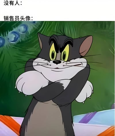 这是一张幽默对比梗图，上方文字"没有人:"与下方"销售员头像:"形成反差，下方配图是《猫和老鼠》中的汤姆猫双臂交叉、露出自信又带点狡黠的微笑表情，用来调侃销售员头像通常展现出过度热情和自信的特点。