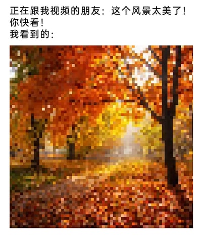 这是一则吐槽视频通话画质的图文内容，上方文字呈现了正在和作者视频的朋友兴奋地分享眼前绝美秋景的场景，而下方展示的是作者实际接收到的画面——原本清晰的秋日林间风景被严重像素化、马赛克处理，仅能通过暖色调色块隐约分辨出树木、地面的轮廓，完全看不到朋友所说的“绝美风景”的细节。两者形成强烈反差，精准吐槽了网络不佳、视频画质模糊时，分享风景的尴尬与无奈，容易引发有类似经历的用户的共鸣。