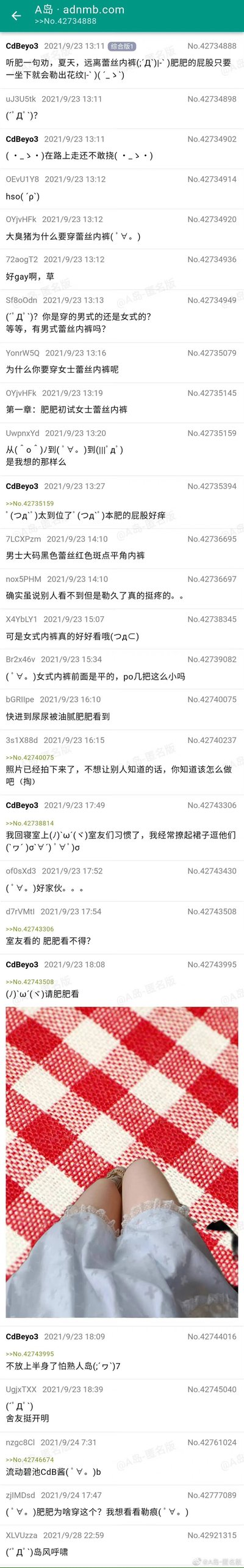 这是A岛匿名版（adnmb.com）的一则网友互动帖子，楼主CdBeyo3以“肥肥”自称，分享自己穿蕾丝内裤的尴尬日常：坐下会勒出花纹、身体发痒却不敢在公共场合挠，引发其他匿名网友的好奇与调侃。网友们纷纷询问内裤的款式（男款/女款）、吐槽楼主的选择，也有人表示女式内裤好看，还有人玩梗调侃。楼主后续发布了自己穿着蕾丝内裤的腿部照片，还提到在宿舍经常撩裙子逗室友，和网友持续互动，整个帖子充满轻松搞笑的日常吐槽氛围，展现了网络社区里的趣味互动场景。
