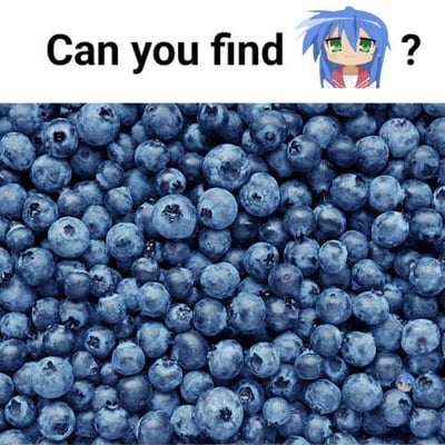 这是一张视觉挑战类图片，上方有文字"Can you find"和一个蓝发绿眼的动漫女孩头像，旁边配有问号。图片主体是大量密集排列的蓝莓，在右下角的蓝莓中隐藏着一个与上方相同的迷你动漫女孩头像，考验观察者的眼力。
