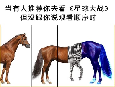 暂无描述