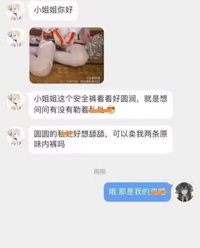 这是一张竖屏聊天记录截图，左侧用户以“小姐姐你好”开场，发送了一张套着类似安全裤的鸡腿照片，随后用低俗猥琐的语气对对方进行骚扰式提问，询问相关低俗内容并索要原味内裤；右侧用户回复“哦 那是我的鸡吧”，利用谐音梗制造反转——这里的“鸡吧”实际指代图中的鸡腿，用荒诞的反差感回击了低俗骚扰，达到搞笑又解气的效果。

谐音梗说明：回复中的“鸡吧”表面是粗俗用语，实际是指图里的鸡的腿部，通过谐音制造反转，打脸猥琐骚扰者。