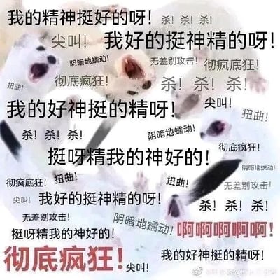 这是一张图文混排的P图改编表情包，背景采用了表情扭曲、肢体夸张的仓鼠图片，图片上覆盖了大量语序混乱、重复且情绪极端的文字内容。文字包含“我的精神挺好的呀”的多种语序错乱版本，如“我好的挺神精的呀”“我的好神挺的精呀”等，还搭配了“杀！杀！杀！”“尖叫！”“彻底疯狂！”“阴暗地蠕动！”“无差别攻击！”“扭曲！”“啊啊啊啊啊！”这类极具失控感的词汇，整体通过错乱的文字和夸张的动物形象，生动营造出精神濒临崩溃、情绪彻底失控的疯癫状态，是网络上用来宣泄生活压力、调侃自身糟糕精神状态的热门表情素材。