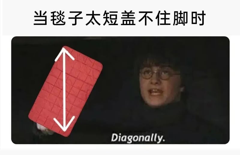 哈利·波特