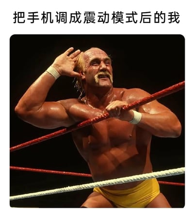 这是一张搞笑网络梗图，上方配有文字“把手机调成震动模式后的我”，图中主体是WWE传奇摔跤手胡克·霍根，他身处摔跤擂台中，赤裸着布满汗水的肌肉上半身，一只手紧紧抓着擂台绳索，另一只手放在耳边，身体肌肉紧绷，神态夸张，仿佛正处于震动状态。这张图用肌肉壮汉的夸张姿态，幽默调侃了人们将手机调成震动模式后，时刻留意手机动静、仿佛自己也跟着手机一起震动的滑稽日常状态，通过强烈的反差感制造趣味笑点，贴合大众使用手机的日常体验。