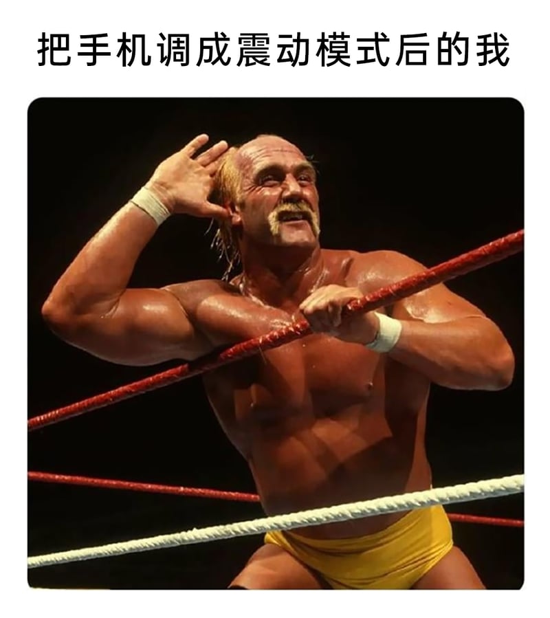 职业摔跤手