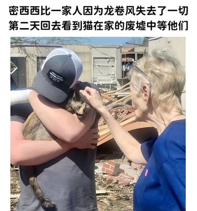 图片记录了美国密西西比州一家人在龙卷风灾害后的感人瞬间。画面中，一名戴灰色帽子的男子正抱着一只猫，旁边一位金发老妇人伸手温柔地抚摸着猫咪的头部。背景是被龙卷风摧毁的房屋废墟，散落着木板、砖块和各种残骸。尽管失去了家园，但家人发现他们的猫在废墟中等待着他们，展现了灾难中的温情与希望。