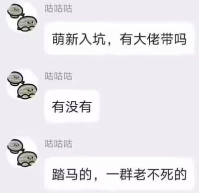这是一张网络聊天记录截图，发消息的用户昵称是“咕咕咕”，头像是两个简笔画风格的灰色卡通团子形象。该用户先后发送三条消息：第一条语气客气，询问“萌新入坑，有大佬带吗”，等待无果后发送第二条追问“有没有”，最终没得到回应的情况下情绪失控，发送第三条爆粗口的消息“踏马的，一群老不死的”，完整呈现了求助者从期待到不满再到暴怒的心态转变，反差感强烈，具有搞笑效果。