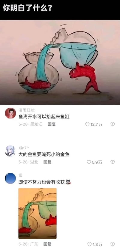 这张图是社交媒体内容截图，上半部分是一幅手绘寓意漫画：漫画顶部配文“你明白了什么？”，画面中一条体型较大的红色金鱼脱离了水环境，用身体扛着一只装有半缸水的鱼缸，正将缸里的水倒入另一只摆放在旁边、里面有一条体型更小的红色金鱼的鱼缸中。下半部分是三条网友针对该漫画发布的热门评论，分别为用户“泪雨红妆”发布的“鱼离开水可以抬起来鱼缸”（获赞12.7万，发布地黑龙江）、用户“Xin7^”发布的“大的金鱼要淹死小的金鱼”（获赞5.9万，发布地湖北）、用户“當”发布的“即使不努力也会有收获”（获赞1.3万，发布地广东），第三条评论还附带了同款漫画的缩略版配图。