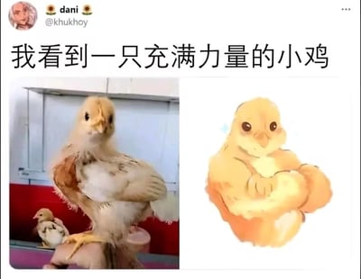 图片展示了一只充满力量感的小鸡的对比图，左侧是真实照片中的小鸡站立在人的手指上，姿态自信；右侧是艺术化处理的小鸡形象，双臂交叉胸前，表情坚定。上方配有文字'我看到一只充满力量的小鸡'，整体营造出一种反差萌的幽默效果。