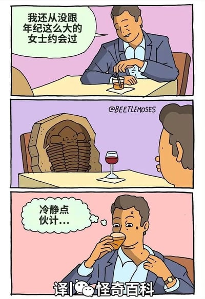 这是一组三格冷幽默连环漫画，第一格中，穿着西装的男士坐在餐桌前，一边喝饮品一边轻松地表示自己从没跟年纪这么大的女士约会过；第二格镜头切换到餐桌对面，揭示出他的约会对象是一只三叶虫——这种生物是生活在史前时期的古老生物，距今已有数亿年历史，完美呼应了男士口中“年纪大”的描述；第三格中，男士看到约会对象后瞬间紧张起来，他擦着汗，一边喝饮品一边在心里自我安慰“冷静点伙计...”，用夸张的年龄反差制造出荒诞的笑点，展现出男士的慌乱与窘迫。