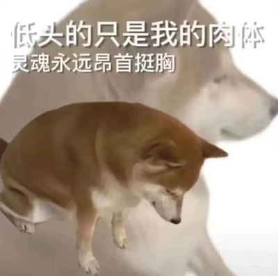 图片中展示了一只低头的柴犬，它的身体微微前倾，头部低垂，似乎表现出一种顺从或疲惫的姿态。然而图片上方的文字"低头的只是我的肉体 灵魂永远昂首挺胸"形成了鲜明对比，表达了一种即使在表面上屈服，内心依然保持高傲和不屈的精神状态。这种反差创造了一种幽默而富有哲理的效果。