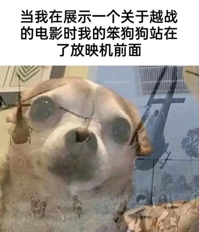 这是一张充满趣味的合成梗图，上方配有文字“当我在展示一个关于越战的电影时我的笨狗狗站在了放映机前面”。画面中，一只狗狗站在放映机前方，它的脸部被投影上了越战电影的画面，包括直升机、士兵、烟雾和丛林场景，狗狗瞪大的眼睛和投影里的战争元素结合，形成了荒诞又滑稽的视觉效果，仿佛狗狗“亲身经历”了这场战争，利用投影的巧合错位制造出搞笑的反差感，让人忍俊不禁。