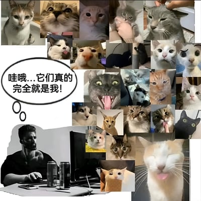 一张由多张猫咪表情包和一张男性工作照组成的拼贴画。画面中包含各种表情和姿态的猫咪，左下角有一位男性坐在电脑前工作，旁边有一个对话框写着'哇哦...它们真的完全就是我!'，表达了人与猫咪表情的共鸣。