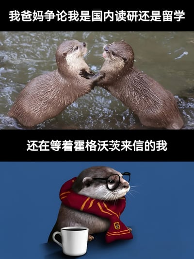 图片分为上下两部分。上半部分是两只水獭在水中站立互相对视，仿佛在激烈争论，上方文字为“我爸妈争论我是国内读研还是留学”；下半部分是一只戴着黑框眼镜、围着红色黄条纹围巾（类似霍格沃茨学院围巾）的水獭，面前放着一个白色马克杯，下方文字为“还在等着霍格沃茨来信的我”。通过水獭的可爱形象和文字对比，幽默展现了父母对子女升学路径的现实讨论与子女自身奇幻梦想之间的反差。