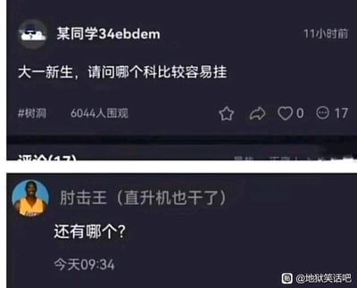 这是一张分为上下两部分的社交媒体截图，核心是因输入错误产生的谐音梗玩梗内容。上半部分是用户“某同学34ebdem”发布的树洞内容，自称大一新生，原本想询问大学“哪个科目比较容易挂科”，却误将“科目”打成“科比”，写成“大一新生，请问哪个科比比较容易挂”，该内容标注为树洞，有6044人围观，17条评论。下半部分是用户“肘击王（直升机也干了）”的评论，该用户头像是篮球明星科比·布莱恩特，名字玩了两个和科比相关的梗：“肘击王”是调侃科比在赛场的肘击动作，“直升机也干了”是调侃科比因直升机失事离世的事件，该用户回复“还有哪个？”，将楼主的输入错误当真，把问题理解为询问相关的科比梗，形成了利用谐音和逝者梗制造的搞笑（地狱笑话）效果。