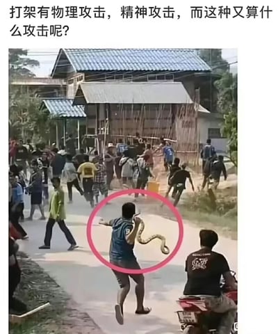 图片上方配有文字'打架有物理攻击，精神攻击，而这种又算什么攻击呢？'，下方是一张真实场景照片：乡村小路旁有蓝色屋顶的房屋，一群人正在混乱奔跑，画面中央一名穿蓝色上衣的男子被红色圆圈高亮，他正手持一条蛇挥舞，周围人群因惊恐而四散躲避。图片通过幽默的方式提问这种持蛇引发混乱的行为属于何种攻击类型，带有荒诞搞笑的效果。
