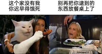 图片分为左右两部分，左图是一只表情严肃的白猫用爪子（拟人化）拿着一只龙虾，上方配文‘这个家没有我 你迟早得饿死’；右图是一位金发女性在餐桌前张嘴大喊，桌上有餐盘和食物，上方配文‘别再把你逮到的东西放餐桌上了’。整体通过拟人化的猫和人类女性的互动，幽默展现宠物与主人之间的搞笑日常，猫仿佛在邀功自己‘捕猎’回来的食物，而主人对此感到无奈和抓狂。