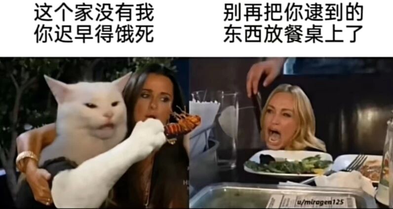 未知影视剧/真人秀
