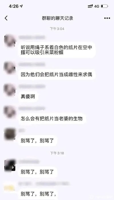 这是一张社交软件的群聊截图，下午3:04时，一名群成员分享了关于菜粉蝶的冷知识：用绳子系着白色纸片在空中摆动能够吸引菜粉蝶，原因是它们会将白色纸片误认作雌性菜粉蝶进行求偶。随后该成员接连吐槽菜粉蝶“真傻啊”“怎么会有把纸片当老婆的生物”。到下午3:18，陆续有其他群成员回复“别骂了，别骂了”，这一回复是典型的网络玩梗，暗指自己如同被吐槽的菜粉蝶，用自嘲的方式呼应了前面的吐槽，营造出轻松搞笑的群聊氛围。