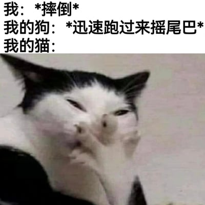 图片上半部分为文字描述：“我: *摔倒* 我的狗: *迅速跑过来摇尾巴* 我的猫:”，下半部分是一只黑白相间的猫，脸部表情扭曲，眼睛眯起，嘴角上扬，呈现出一种嘲讽、幸灾乐祸的“坏笑”模样，通过对比狗的关心和猫的“看戏”反应制造幽默效果。
