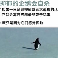 企鹅