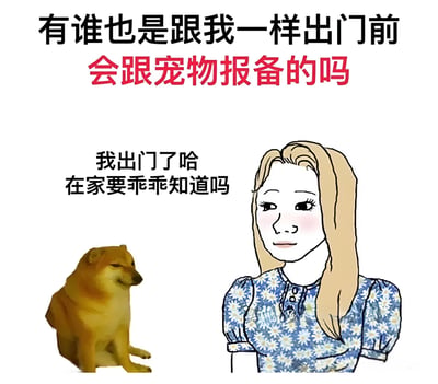 这是一张描绘宠物主人出门前与宠物互动的插画。画面上方有文字'有谁也是跟我一样出门前会跟宠物报备的吗'，其中'会跟宠物报备的吗'用红色突出显示。左侧是一只坐着的棕色小狗，右侧是一位金发女性，穿着蓝色碎花连衣裙，正温柔地看着小狗。女性旁边配有文字'我出门了哈 在家要乖乖知道吗'，展现了宠物主人对宠物的关爱和日常互动场景。