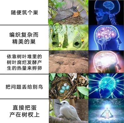 这是一张多图拼接的搞笑梗图，共分为五个层级，每个层级由左侧文字、中间鸟类实拍图、右侧拟人化大脑图组成，将不同鸟类的繁殖/筑巢策略与“大脑强度”进行趣味绑定：
1. 第一层级：文字“随便筑个巢”，对应普通筑巢的鸟类，右侧是普通的大脑示意图，代表基础的生存策略；
2. 第二层级：文字“编织复杂而精美的巢”，对应织巢鸟的悬挂式精美鸟巢，右侧是活跃发光的大脑，代表更精巧的生存技巧；
3. 第三层级：文字“依靠树叶堆里的树叶腐烂发酵产生的热量来孵卵”，对应冢雉的孵卵方式，右侧是亮度更高的大脑，代表利用自然规律的聪明策略；
4. 第四层级：文字“把问题丢给别鸟”，对应巢寄生鸟类将卵产在其他鸟类巢中让其代孵的行为，右侧是放射光芒的超强大脑，代表“甩锅”式的“高智商”偷懒；
5. 第五层级：文字“直接把蛋产在树杈上”，对应白玄鸥不筑巢直接产卵的行为，右侧是成神状态的发光人形图，代表突破常规的“终极偷懒”策略。
整体通过这种反差感和夸张的大脑升级，调侃不同的生存策略，将鸟类的行为拟人化，制造幽默效果。