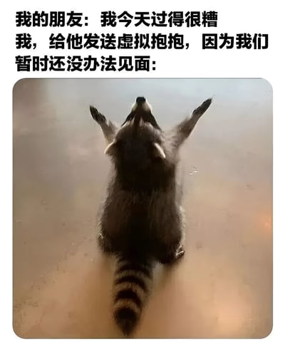 这是一张暖心的表情包，上方配有文字："我的朋友: 我今天过得很糟 我，给他发送虚拟抱抱，因为我们暂时还没办法见面:"，下方是一只浣熊背部贴在玻璃上，双臂向上伸展的照片。图片通过浣熊贴在玻璃上的姿势，形象地表达了虽然无法物理见面，但仍想给予朋友安慰和支持的心情。