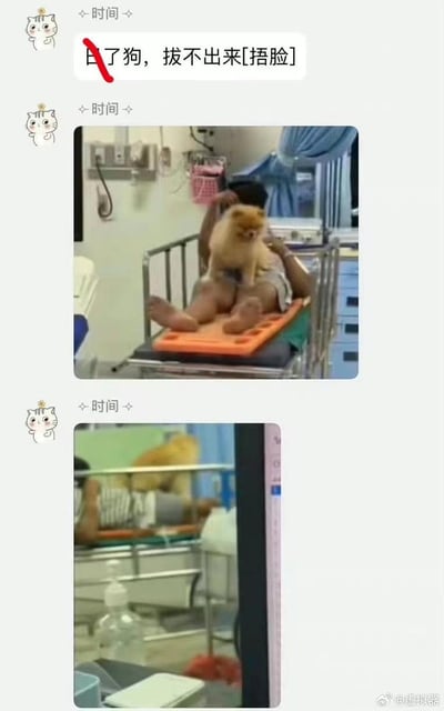 暂无描述