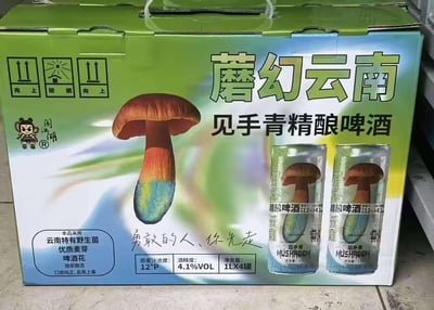 这是一款主打云南地域特色的见手青精酿啤酒的礼盒包装，包装主视觉是云南特有野生菌见手青的彩色渐变图案，搭配产品罐身展示，文案“勇敢的人、你先走”玩梗式调侃了见手青处理不当食用后会产生幻觉的特点，增添了产品的趣味性。包装标注了产品采用云南特有野生菌、优质麦芽、啤酒花独家酿造，规格为1L×4罐，原麦汁浓度12°P，酒精度4.1%VOL，主打口感纯正、品质上乘的特点。
玩梗说明：文案“勇敢的人、你先走”调侃了见手青作为野生菌的特殊属性，暗示尝试这款带有见手青元素的啤酒是“勇敢者的行为”，用趣味化的方式贴合“蘑幻（魔幻）”的产品名称。