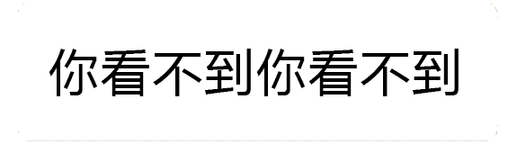 火焰特效版'你看不到'动态梗图