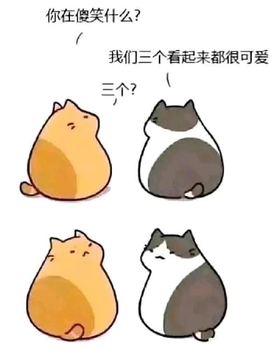 暂无描述