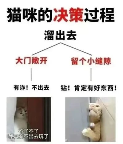 这是一张幽默展示猫咪决策过程的图文混排图。上方以流程图形式呈现主题“猫咪的决策过程”，核心决策点为“溜出去”，并分为两个分支：“大门敞开”对应“有诈！不出去”，下方配一张猫咪躲在门后、眼神警惕的照片，图中文字“不了不了 我真的不出去玩了”强化拒绝态度；“留个小缝隙”对应“钻！肯定有好东西！”，下方配一张猫咪用爪子扒门缝、仰头急切张望的照片。通过对比猫咪面对不同开门状态的反差行为，生动调侃了宠物猫矛盾又可爱的心理。