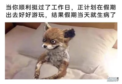 这是一张图文结合的搞笑表情包，上方配文精准描述了打工人的倒霉经历：好不容易熬完工作日，满心期待假期外出游玩，结果假期第一天就生病卧床。下方的图片是一个造型怪异的失败狐狸剥制标本，它双眼圆睁，嘴角僵硬上扬，趴在枕头上，这个诡异又无奈的表情，完美契合了期待落空、又气又崩溃的心情，精准戳中打工人的共鸣，用来吐槽这类突发的倒霉状况。