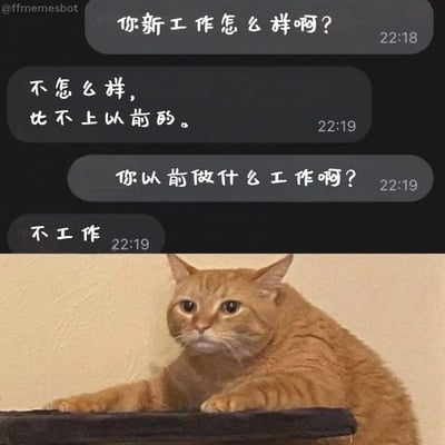 这是一张上下结构的搞笑表情包，上半部分是深色背景的即时通讯聊天记录界面，时间显示为22点18分到22点19分，对话内容为一方询问对方的新工作状况，对方回复新工作比不上以前的工作，追问对方之前的工作是什么，得到的回答是「不工作」；下半部分搭配了一只胖橘猫的实拍图，橘猫前爪搭在平台上，表情怅然若失，精准对应了打工人发现上班反而不如待业时期舒适的无奈心情，笑点突出，很容易引发打工群体的共鸣。