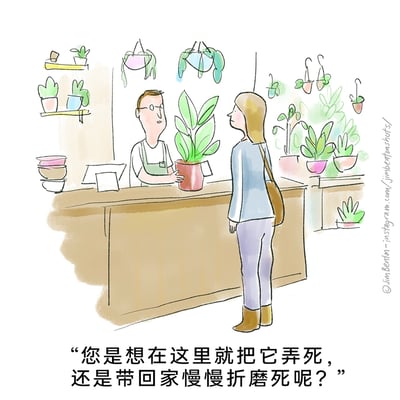 这是一幅手绘风格的原创卡通幽默漫画，场景设定在摆满各类盆栽的植物店内，柜台后的店员正对着前来选购植物的顾客，说出一句极具反差感的扎心调侃：“您是想在这里就把它弄死，还是带回家慢慢折磨死呢？”。漫画用夸张荒诞的对话，调侃了很多人缺乏植物养护能力、总会把家养植物养死的普遍尴尬处境，温馨的植物店场景与扎心的对话形成强烈反差，制造出搞笑的幽默效果。