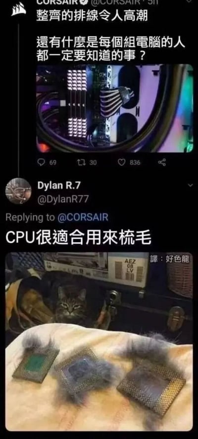 这是一张X平台（原推特）的互动截图，上方是硬件品牌CORSAIR（美商海盗船）发布的推文，展示了电脑内部整齐的排线，配文“整齐的排线令人高潮 還有什麼是每個組電腦的人都一定要知道的事？”；下方用户Dylan R.7以调侃的方式回复，晒出一只猫咪和三个沾满猫毛的CPU，配文“CPU很適合用來梳毛”，将CPU的针脚类比成梳子，制造出荒诞又搞笑的反差效果，把电脑硬件和养猫日常结合，玩出趣味梗。