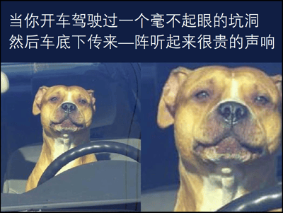 图片上方配有文字“当你开车驾驶过一个毫不起眼的坑洞然后车底下传来一阵听起来很贵的声响”，下方分为左右两图。左图中，一只棕色的狗坐在汽车驾驶座上，前爪搭在方向盘上，表情平静地注视前方；右图为该狗的脸部特写，眼神向上，嘴巴微张，露出略带紧张和担忧的神情，通过前后表情对比，幽默展现了开车遇到坑洞后听到异响时的心理变化。
