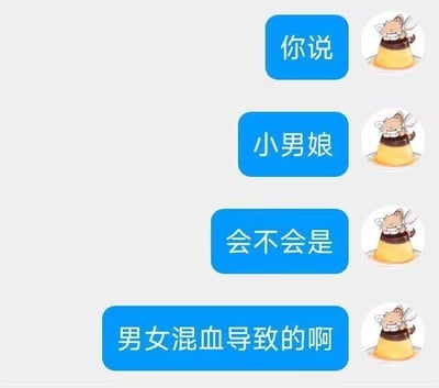 这是一张即时通讯软件的聊天记录截图，画面右侧是用户的卡通头像——一只惬意趴在布丁上的小猫，左侧是用户发送的四条蓝色气泡消息，依次为：‘你说’‘小男娘’‘会不会是’‘男女混血导致的啊’。用户对‘小男娘’的概念存在明显误解，错误地将其成因归结为男女混血，实际上‘小男娘’指的是外貌、气质偏向女性化的男性，与混血没有关联，这段内容是充满脑洞的搞笑提问。