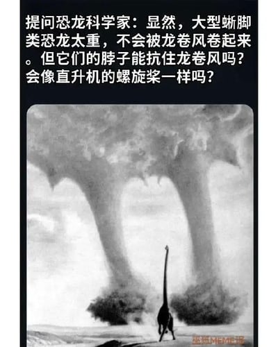 这是一张黑白搞笑梗图，采用顶配底文的图文混排形式。顶部黑色区域为白色的无厘头脑洞提问内容，询问恐龙科学家大型蜥脚类恐龙遇到龙卷风时，虽然体重过重不会被卷走，但其脖子能否扛住风力，会不会像直升机螺旋桨一样转动。该问题属于无厘头脑洞，现实中龙卷风的风力足以掀翻大型车辆，蜥脚类恐龙的脖子无法承受如此强的风力，更不会出现类似直升机螺旋桨转动的情况。下方配图为一只长脖子蜥脚类恐龙站在开阔地面上，它的身后有两股巨大的龙卷风，画面荒诞感拉满，完美呼应上方的脑洞提问，右下角带有“巫狐MEME译”的水印，整体内容属于网友趣味整活，没有实际科学依据，仅用于娱乐。