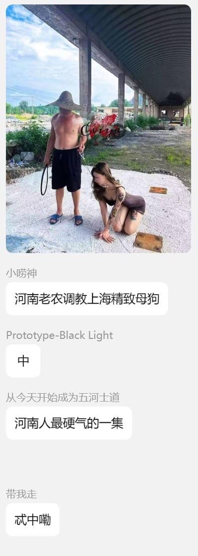 图片中一名戴草帽、赤裸上身的男子手持皮鞭站立，一名有纹身的女子跪在其面前，背景是废弃建筑。图片下方配有极具侮辱性和地域歧视的文字，将人物恶意标签为“河南老农”和“上海精致母狗”，并包含“调教”等低俗词汇，严重违背公序良俗，涉嫌地域歧视和侮辱女性。