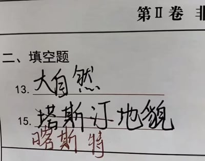 这是一张实拍的试卷答题页局部图，展示的是试卷第II卷的填空题部分：第13题的答题横线处填写了答案“大自然”；第15题答题者最初将答案错写为“塔斯汀地貌”并划掉，随后在下方订正书写了“喀斯特”。该错误利用了地理术语“喀斯特”和知名汉堡品牌“塔斯汀”的发音相似性，属于谐音类答题失误，趣味性较强，具有搞笑梗图属性。