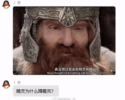 这是一张拼接的搞笑梗图，上半部分是《指环王》系列电影中矮人角色吉姆利的影视截图，配有原台词字幕“真没想过我会和精灵并肩战死”及对应英文原文，下半部分是QQ聊天界面，同一个用户将台词里的“并肩”谐音误解为“蹲着”，发出疑问“精灵为什么蹲着死？”，利用中文谐音制造了反差笑点。
